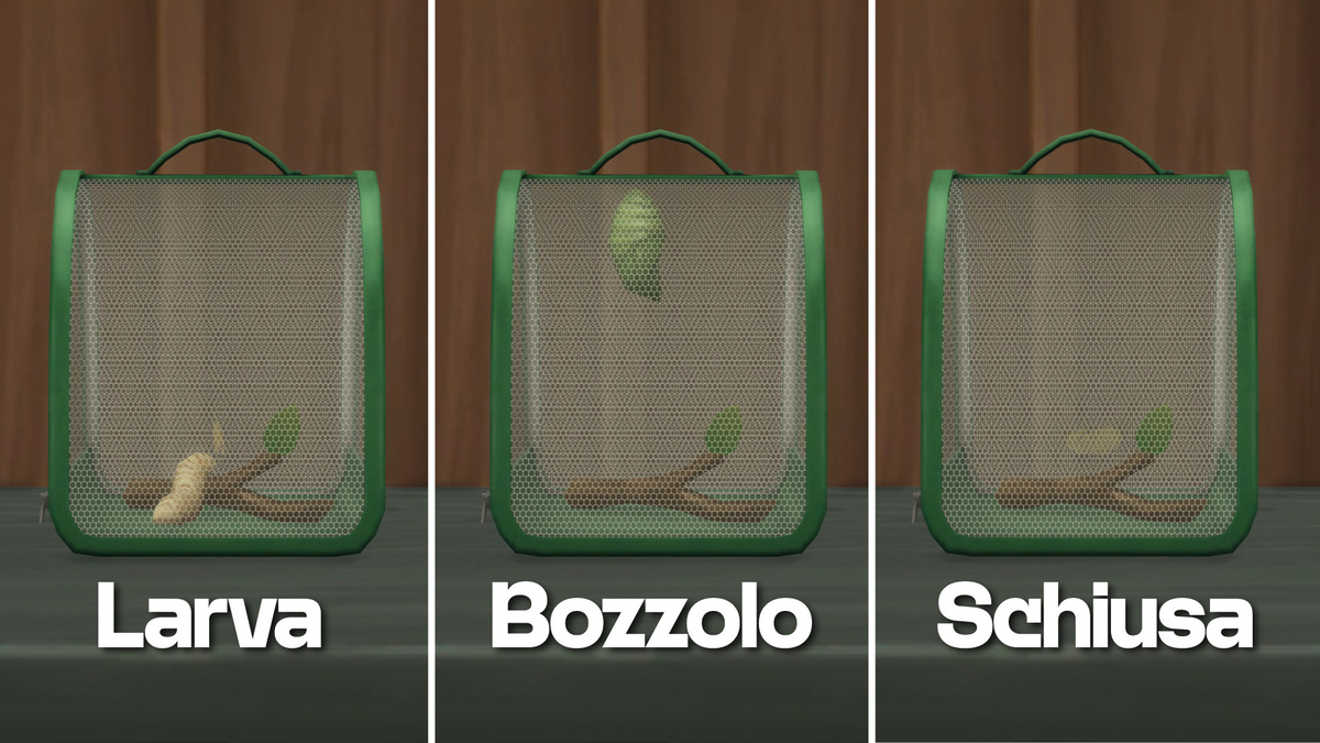 Guida alle farfalle di The Sims 4 All'Avventura: stadi di crescita