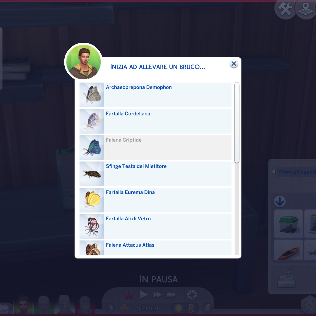 Guida alle farfalle di The Sims 4 All'Avventura: scelta del brucp